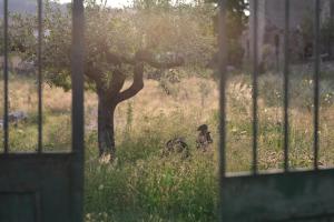 La Gourmandine -Gîtes