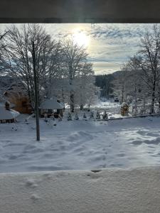 Sekulic Apartman Tara