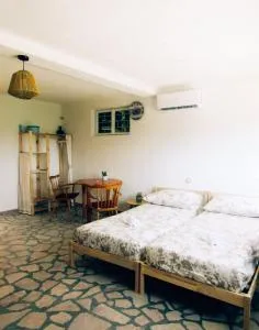 Suite Tangerine Studio - Rogotin