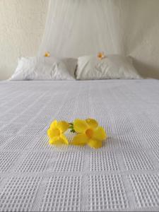 Santuario Sierra Sagrada