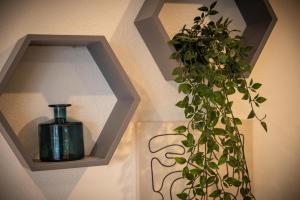 Appartements La note bleue : photos des chambres