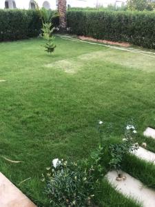 Sharm El Sheikh nema downtown apartment