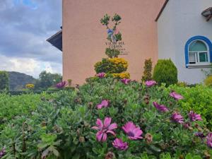 Finca San Fernando