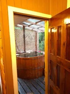 Pájaro Carpintero Puelo - Llahuepe