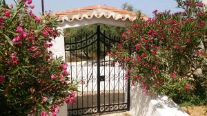 Villa Orizontes Spetses Greece