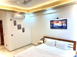 The Dreamy days & Nights