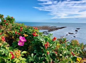 Kings Seafront Place