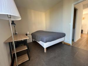 Appartements Appartement lumineux 3 chambres a Tours nord : photos des chambres