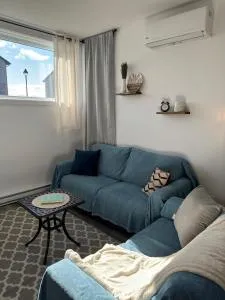 Bright and Spacious Apartment in Plateau - Carp