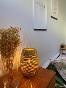 Bright and Spacious Apartment in Plateau