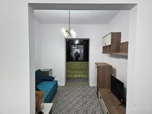 visitor's house 10 - Horodnic de Sus