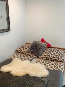 Apartamenty w Długoszówce