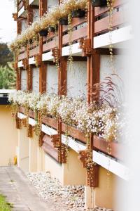 Comfort Double Room with Balcony room in Hotel Ochsen