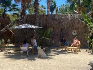 La Sardina - Todos los Santos