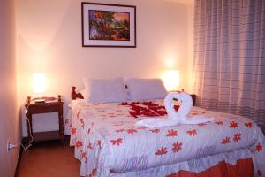 MAGICPERU BaCKPACKERS