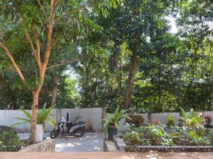 Ong An House -serenity meets nature