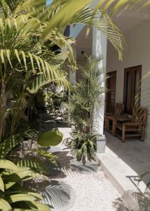 Nalua Surf Boutique Hotel