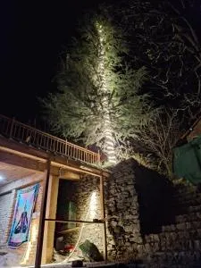 Hideaway holt - Sainj