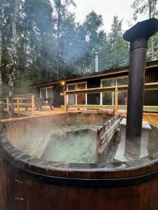 Aldea Molco El Pellin