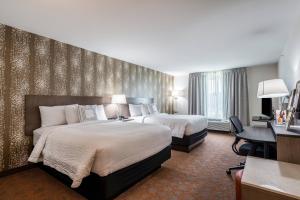 Queen Room with Two Queen Beds room in Fairfield Inn & Suites by Marriott St. Joseph Stevensville