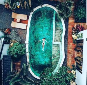 The Royen - Oaza in Lovina