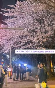 Seoul Allie House in Sinchon