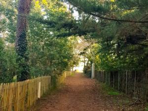 Villa 6 ch. avec sauna, jardin et parking près du Bassin dArcachon - FR-1-736-51