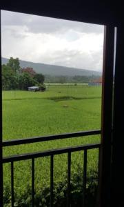 The Royen - Oaza in Lovina