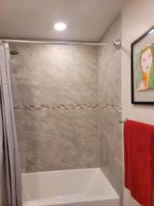 Stylish, Cozy, Well-equipped Apt in Braintree MA