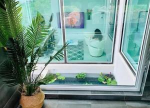 Jeju Island Ocean Wave Panpo