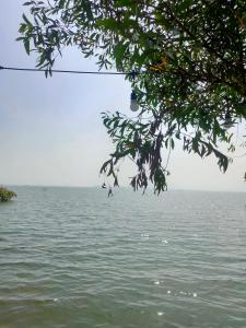 Meeto Camping Hồ Trị An