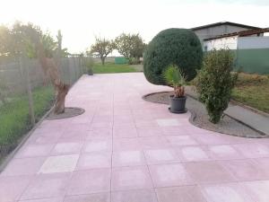 Dreiländereck-Ferienwohnung in Eschbach