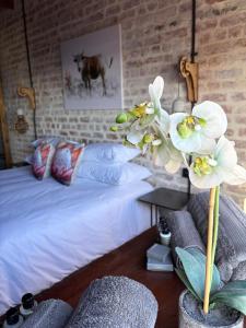 Eccentric Heritage Paradise Simons Town