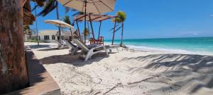 Elysian Private Haven Ultimate Front Beach Paradise, Isla Blanca