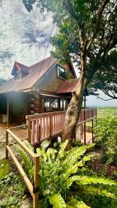 Casablanca Vacation House, 海の見える ペット可 ビリヤード, 本部町