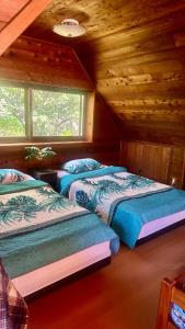 Casablanca Vacation House, 海の見える ペット可 ビリヤード, 本部町