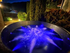 Jack Residence Busteni