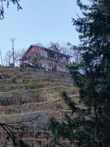 Ekaant Orchard Retreat , A Serene Homestay