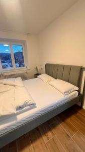 Trentino Apartments - Villa orso Bruno