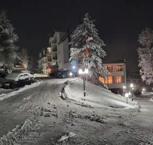 Vila Barselona Kopaonik