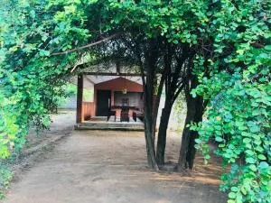 Green eco lodge yala - 基林德