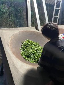 Bikkis jungle homestay