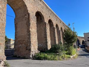 il giardino di frida
