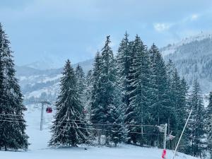 Studio ski aux pieds vue superbe sur les pistes