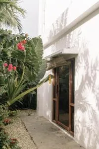 Private home near Libaong white beach with Solar and 600mbps internet - Dao