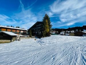 Studio ski aux pieds vue superbe sur les pistes