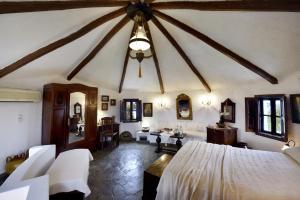 Anastasias windmill and Anastasias studio