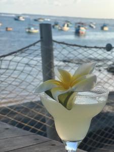 Casa Amazônia, new and modern