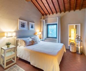 Suite Superior