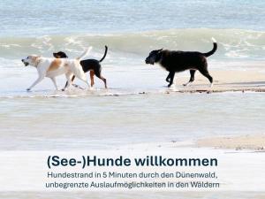 Kamminke, Hofschaft am Haff